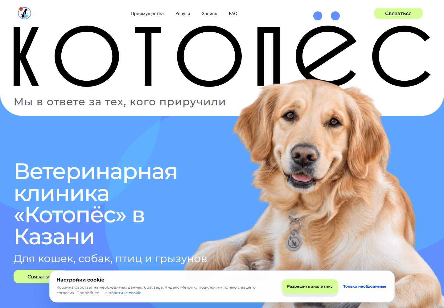 Главная страница ветеринарной клиники «Котопес»